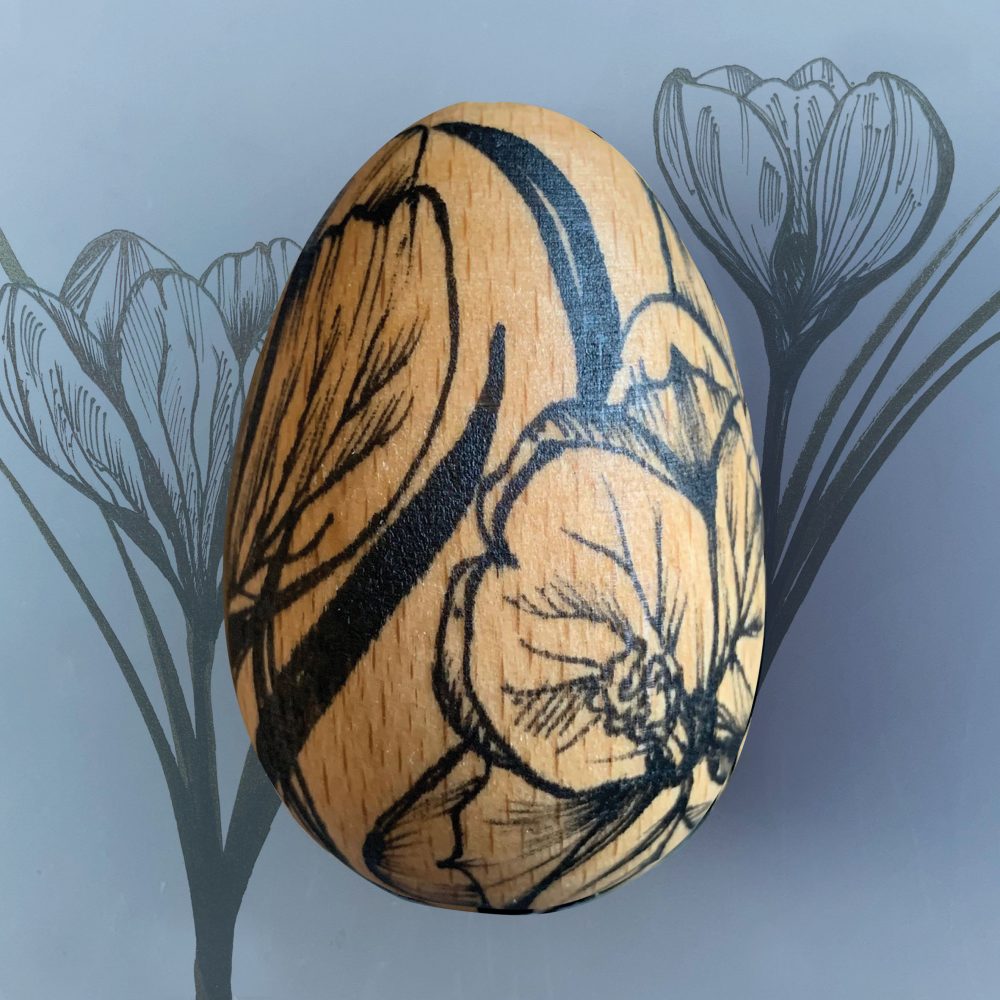 Decorated egg crocus